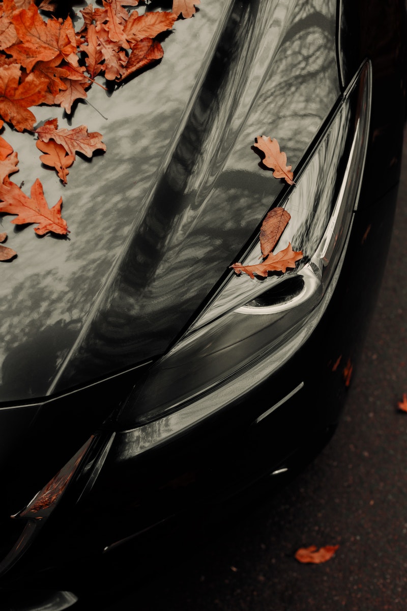 From above black contemporary car parked in autumn park and covered with red maple leaves